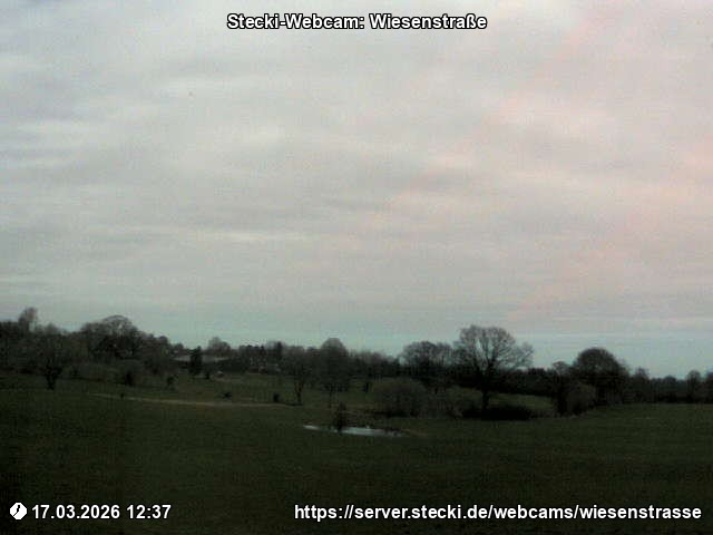 Archiv Foto Webcam Delingsdorf Wiesenstraße