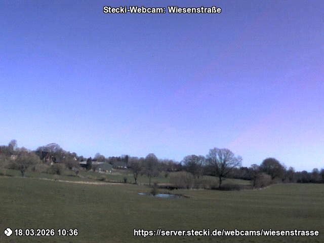 Archiv Foto Webcam Delingsdorf Wiesenstraße