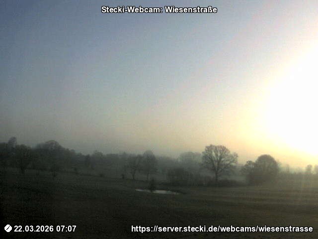 Archiv Foto Webcam Delingsdorf Wiesenstraße