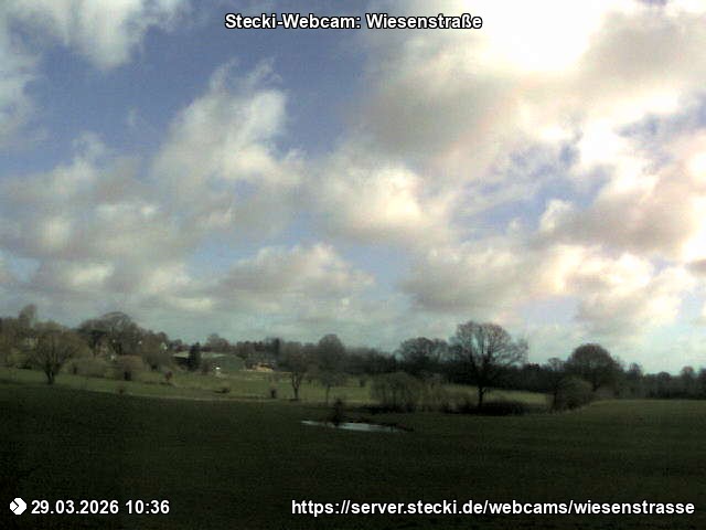 Archiv Foto Webcam Delingsdorf Wiesenstraße