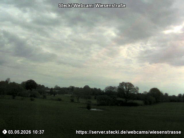 Archiv Foto Webcam Delingsdorf Wiesenstraße