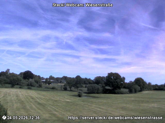 Archiv Foto Webcam Delingsdorf Wiesenstraße