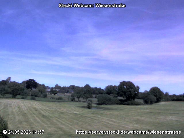 Archiv Foto Webcam Delingsdorf Wiesenstraße