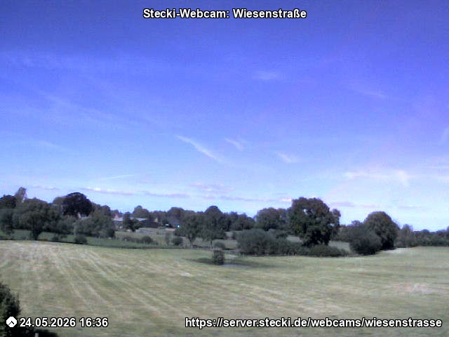 Archiv Foto Webcam Delingsdorf Wiesenstraße