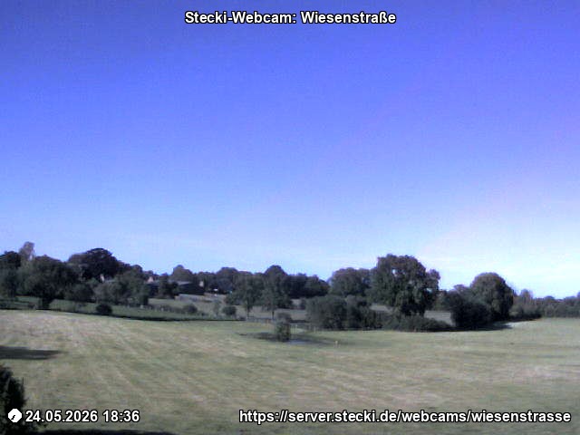 Archiv Foto Webcam Delingsdorf Wiesenstraße