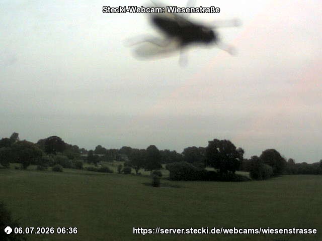 Archiv Foto Webcam Delingsdorf Wiesenstraße