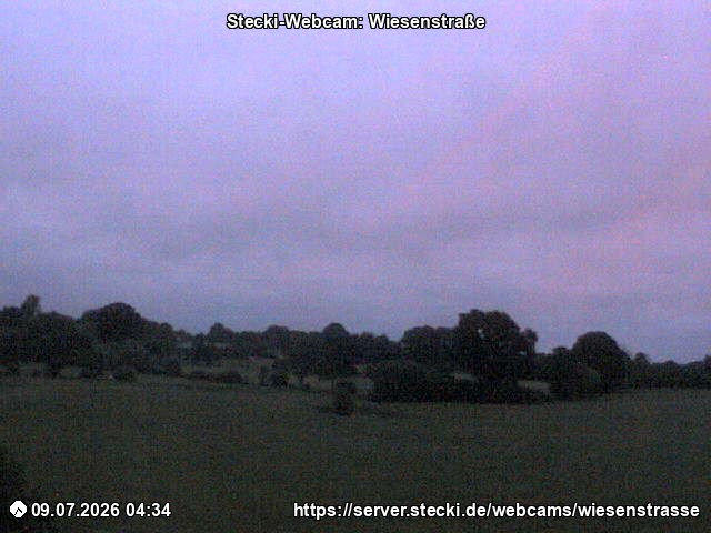 Archiv Foto Webcam Delingsdorf Wiesenstraße
