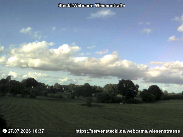 Archived image Webcam Wiesenstraße near Delingsdorf