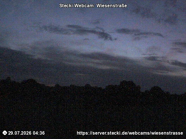 Archiv Foto Webcam Delingsdorf Wiesenstraße