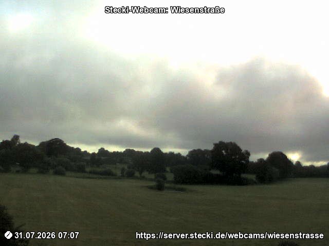 Archiv Foto Webcam Delingsdorf Wiesenstraße