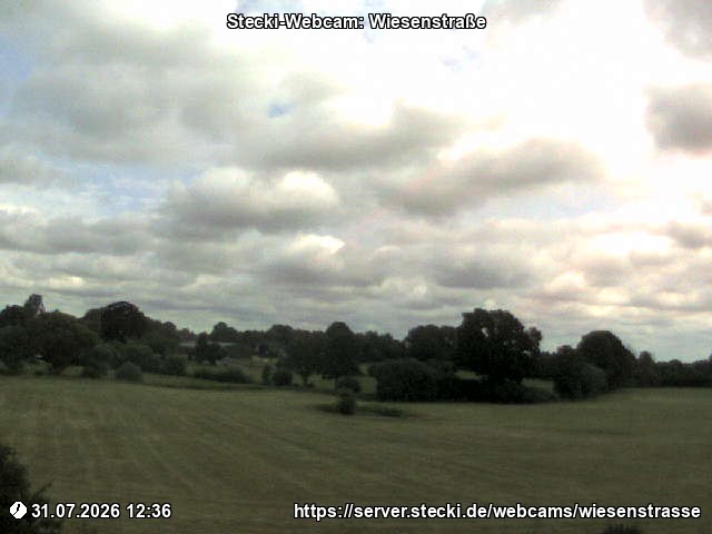 Archiv Foto Webcam Delingsdorf Wiesenstraße
