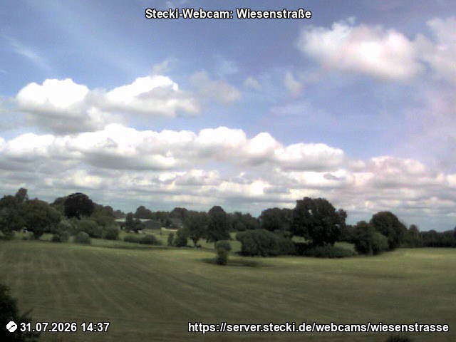 Archiv Foto Webcam Delingsdorf Wiesenstraße