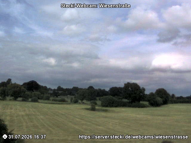 Archiv Foto Webcam Delingsdorf Wiesenstraße