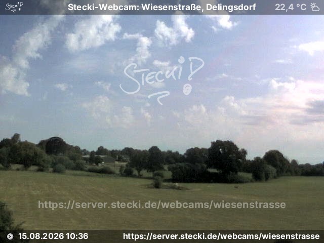 Archiv Foto Webcam Delingsdorf Wiesenstraße