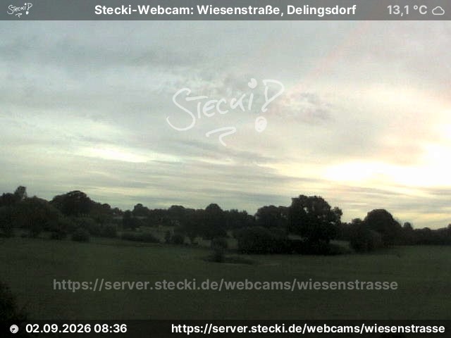 Archiv Foto Webcam Delingsdorf Wiesenstraße