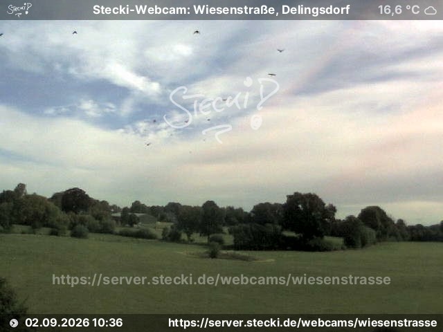 Archiv Foto Webcam Delingsdorf Wiesenstraße