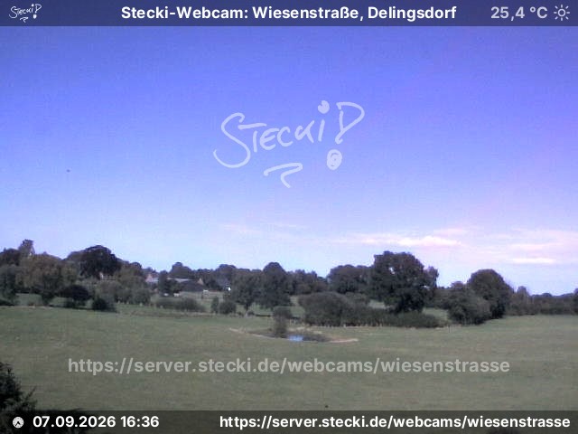 Archiv Foto Webcam Delingsdorf Wiesenstraße