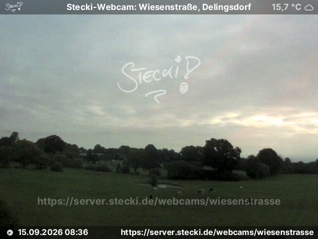 Archiv Foto Webcam Delingsdorf Wiesenstraße