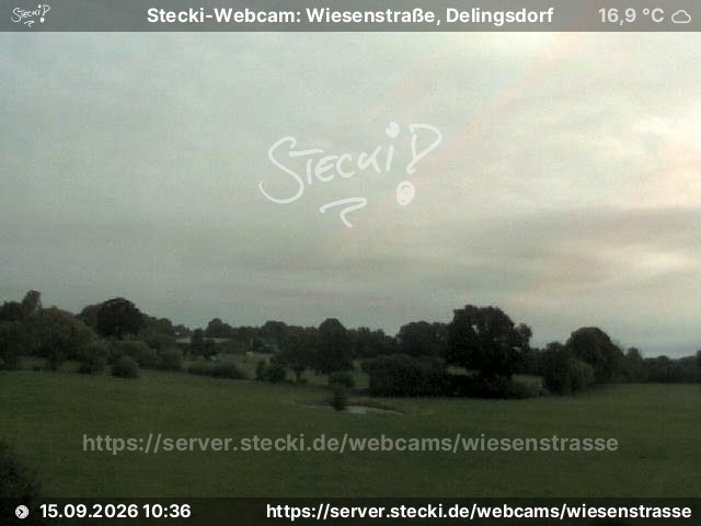 Archiv Foto Webcam Delingsdorf Wiesenstraße