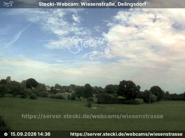 Archiv Foto Webcam Delingsdorf Wiesenstraße