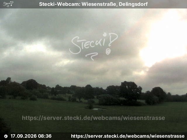 Archiv Foto Webcam Delingsdorf Wiesenstraße