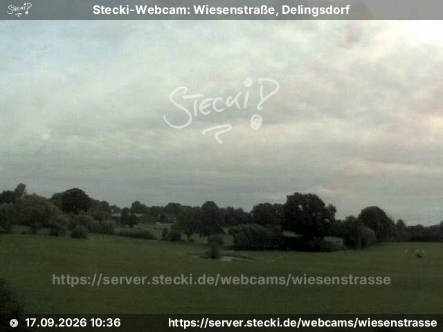Archiv Foto Webcam Delingsdorf Wiesenstraße