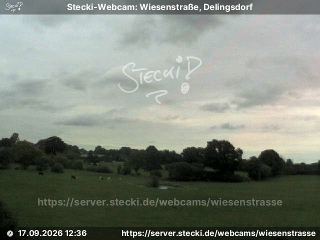 Archiv Foto Webcam Delingsdorf Wiesenstraße