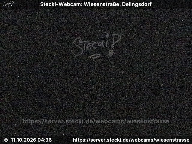 Archiv Foto Webcam Delingsdorf Wiesenstraße