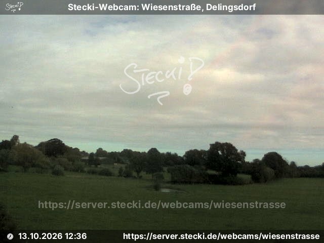 Archiv Foto Webcam Delingsdorf Wiesenstraße