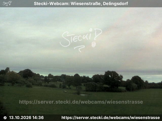 Archiv Foto Webcam Delingsdorf Wiesenstraße