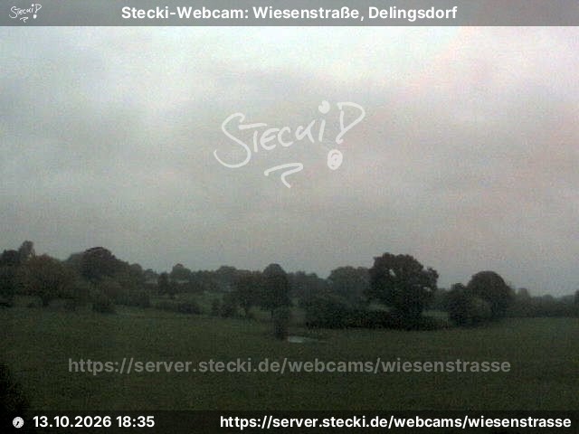 Archiv Foto Webcam Delingsdorf Wiesenstraße
