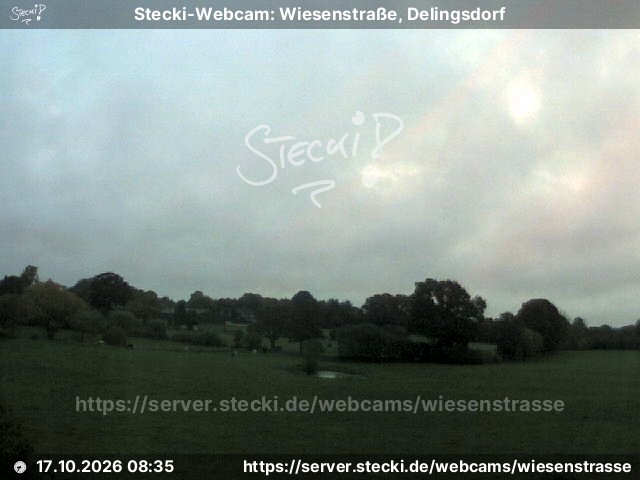 Archiv Foto Webcam Delingsdorf Wiesenstraße