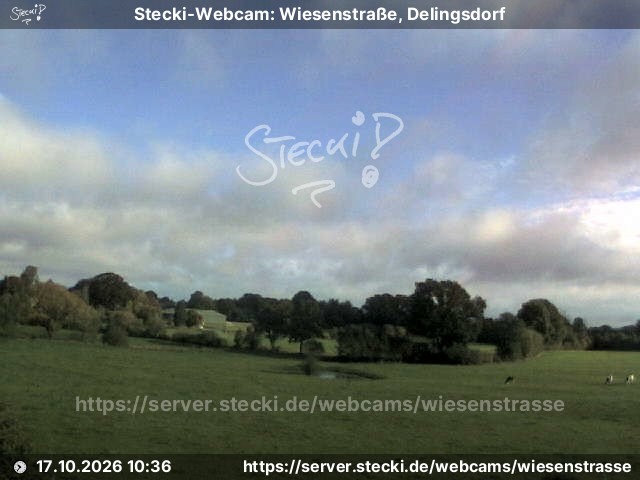 Archiv Foto Webcam Delingsdorf Wiesenstraße