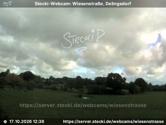 Archiv Foto Webcam Delingsdorf Wiesenstraße