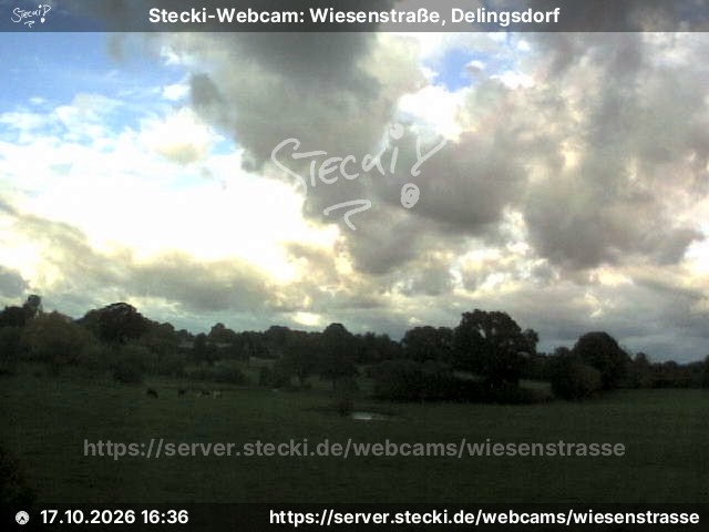 Archiv Foto Webcam Delingsdorf Wiesenstraße