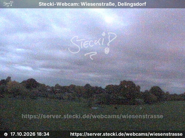 Archiv Foto Webcam Delingsdorf Wiesenstraße