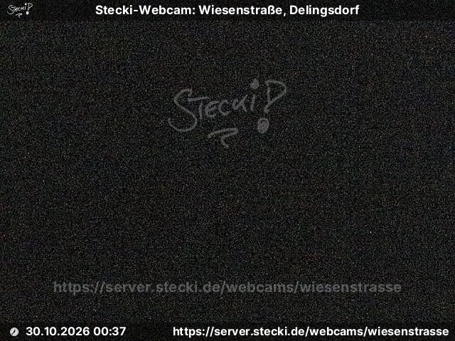 Archiv Foto Webcam Delingsdorf Wiesenstraße