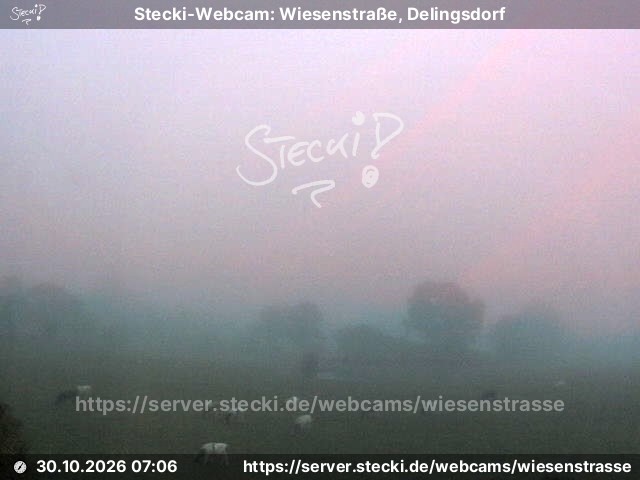 Archiv Foto Webcam Delingsdorf Wiesenstraße