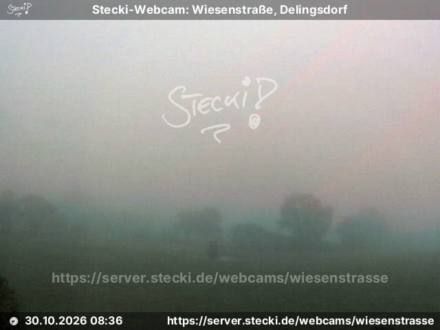 Archiv Foto Webcam Delingsdorf Wiesenstraße