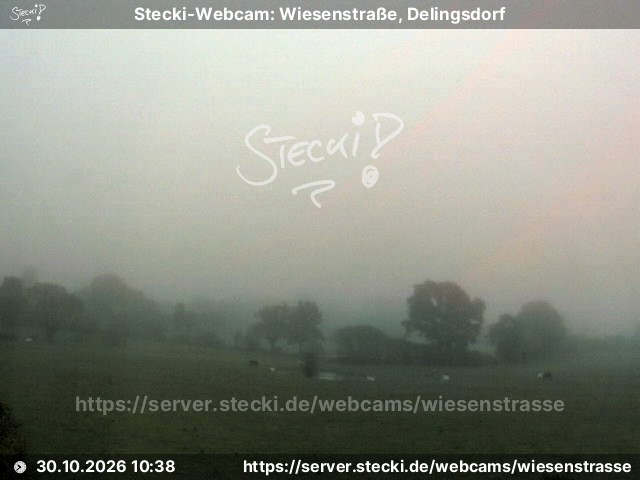 Archiv Foto Webcam Delingsdorf Wiesenstraße