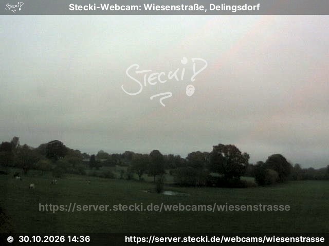 Archiv Foto Webcam Delingsdorf Wiesenstraße