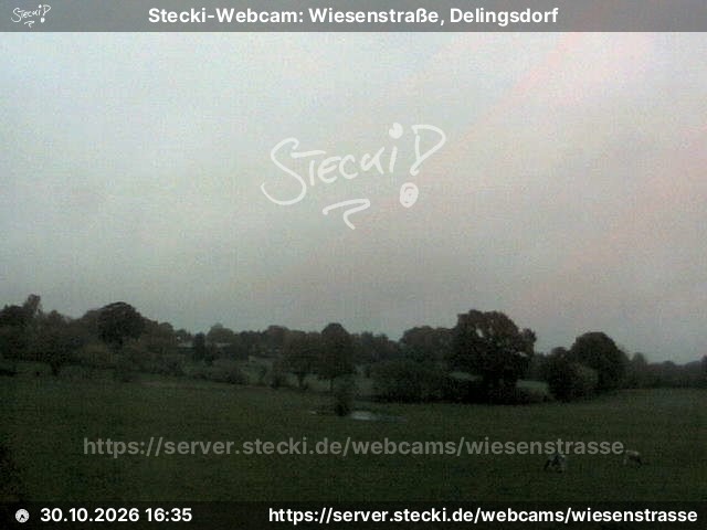Archiv Foto Webcam Delingsdorf Wiesenstraße