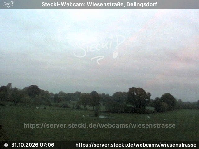 Archiv Foto Webcam Delingsdorf Wiesenstraße