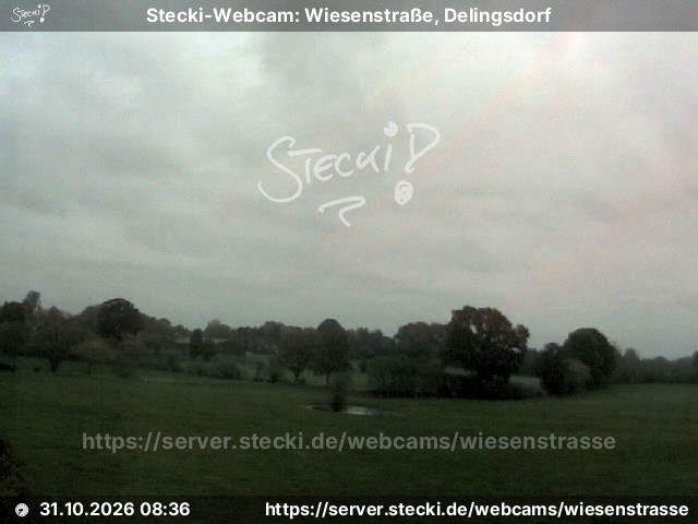 Archiv Foto Webcam Delingsdorf Wiesenstraße