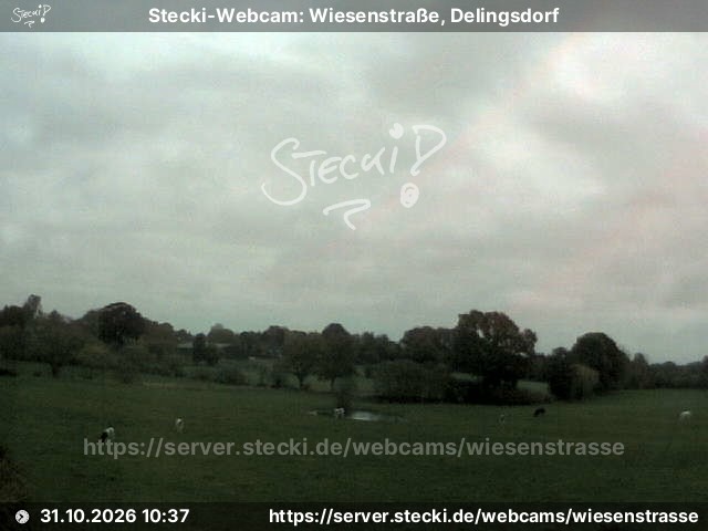 Archiv Foto Webcam Delingsdorf Wiesenstraße