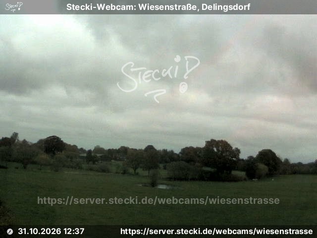 Archiv Foto Webcam Delingsdorf Wiesenstraße