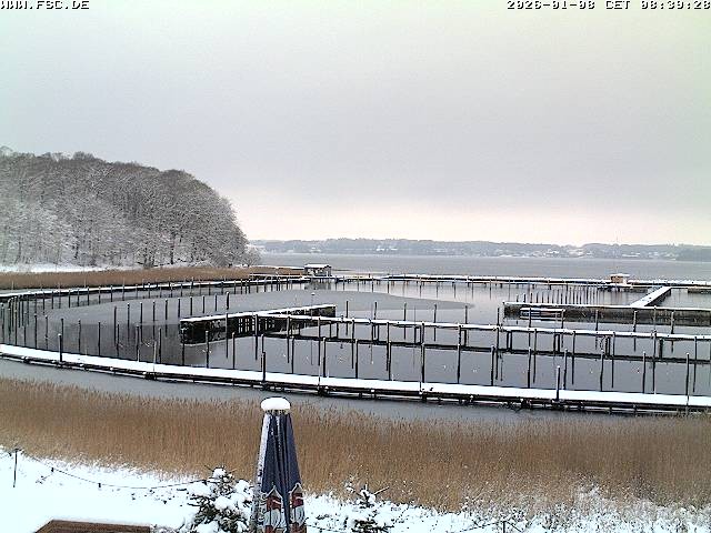 Archived image Webcam Marina Flensburg