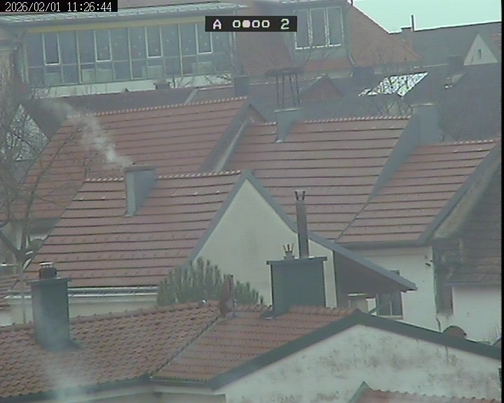 Archiv Foto Webcam St. Margarethen (Burgenland)