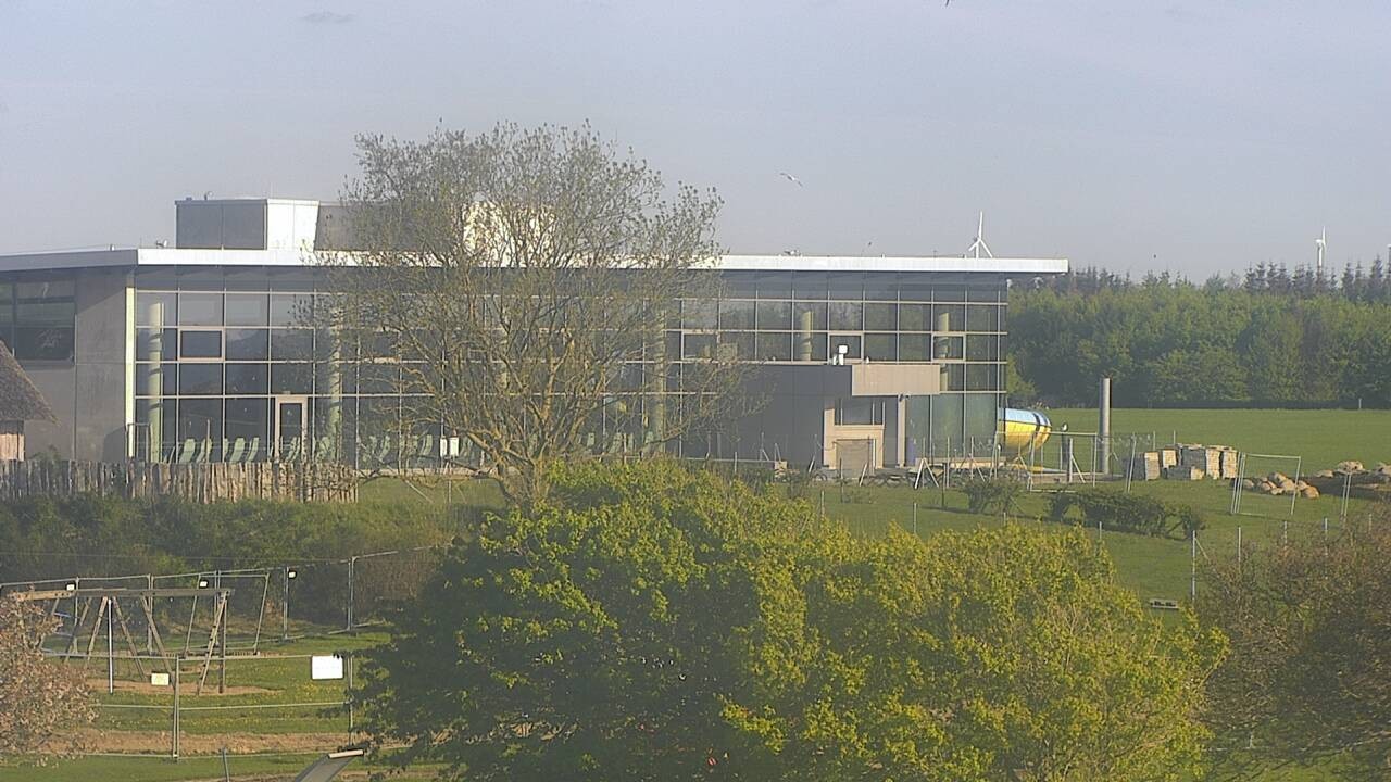 Archiv Foto Webcam Ostsee Resort Damp - Strandpromenade