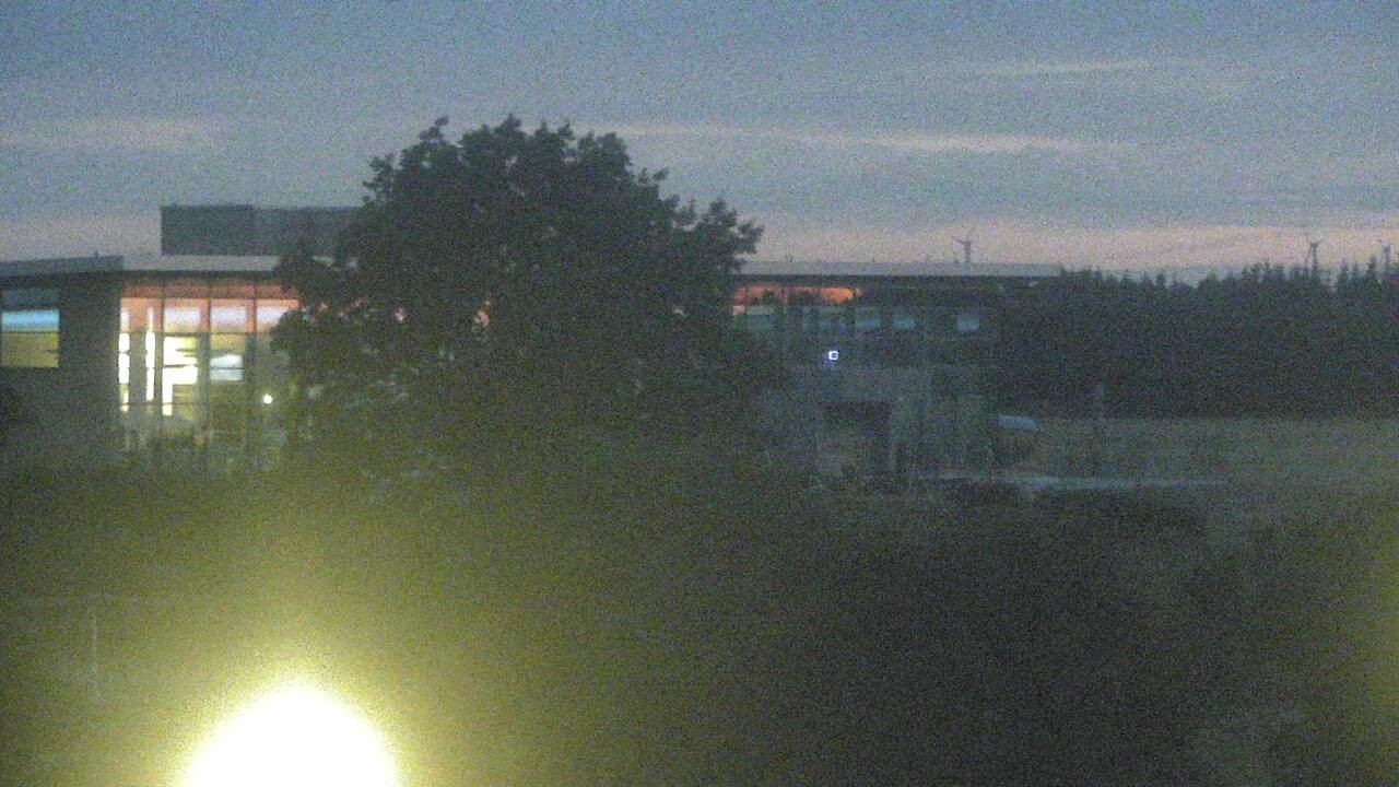 Archiv Foto Webcam Ostsee Resort Damp - Strandpromenade